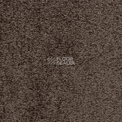 Ковролин Bonkeel Parliament Brown фото 1 | FLOORDEALER